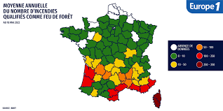 La météo des forets