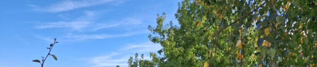 cropped-20250930_113728-scaled-3.jpg