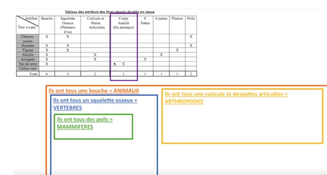 Classification En Groupes Emboités Collège Exercices Construire la classification en groupes emboités 4 min – Les Sciences