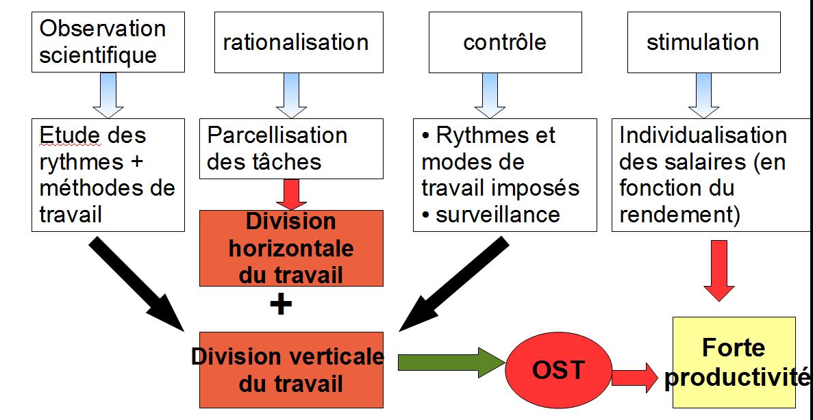 Organisation du travail : Du taylorisme au Fordisme | LVSES